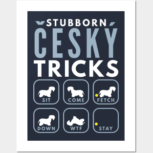 Stubborn Cesky Terrier Tricks - Dog Training Posters and Art